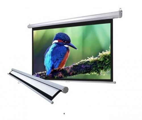 Màn chiếu treo tường Apollo 84inch (1,52m x1,52m)